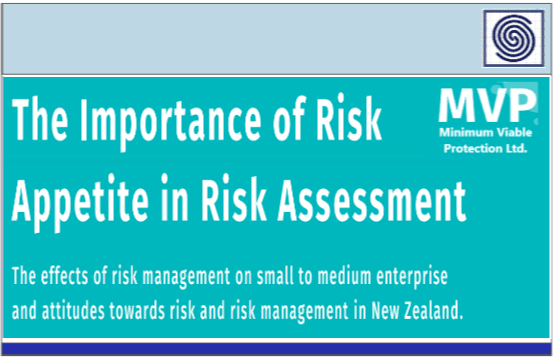 The Importance of Risk Appetite in Risk Assessment – by MVP – Minimun Viable Protection
