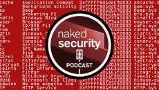 S3 Ep113: Pwning the Windows kernel – the crooks who hoodwinked Microsoft [Audio + Text]