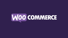 WooCommerce Payments plugin for WordPress has an admin-level hole – patch now!