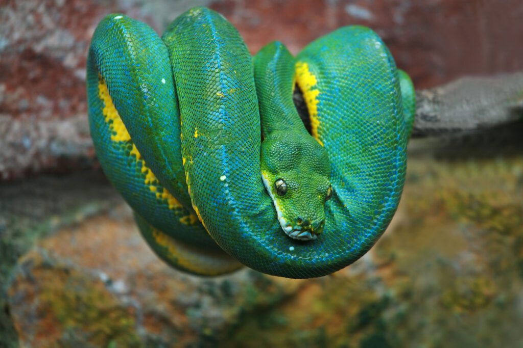 novel-pypi-malware-uses-compiled-python-bytecode-to-evade-detection-–-source:-wwwdarkreading.com