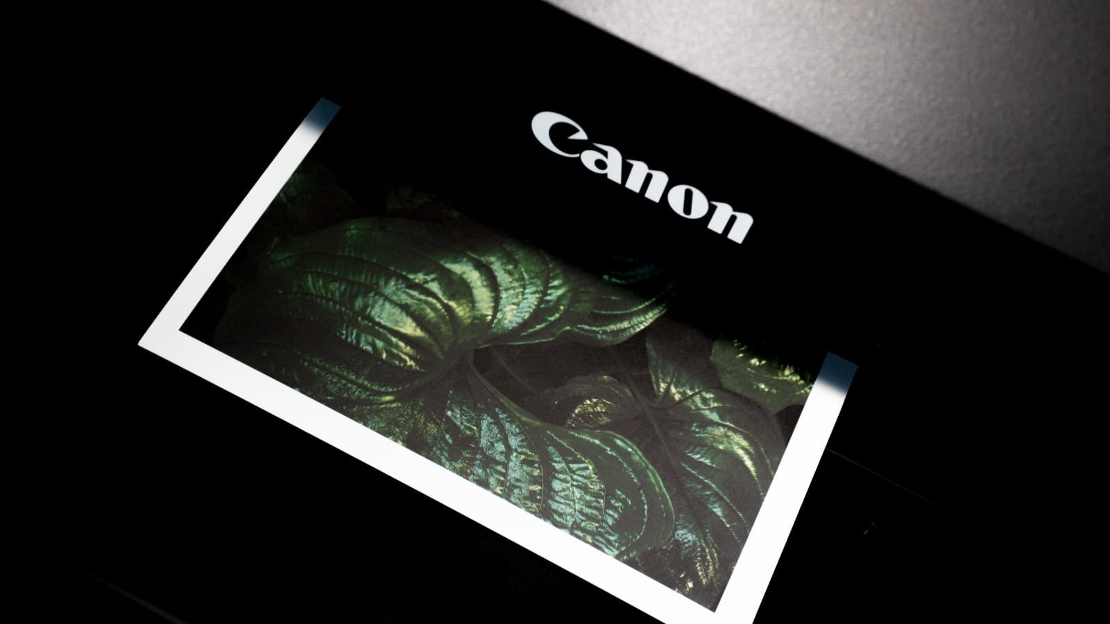Canon warns of Wi-Fi security risks when discarding inkjet printers – Source: www.bleepingcomputer.com