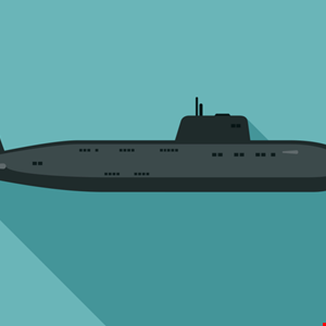 CISA: New Submarine Backdoor Used in Barracuda Campaign – Source: www.infosecurity-magazine.com