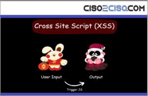 XSS Cross Site Script