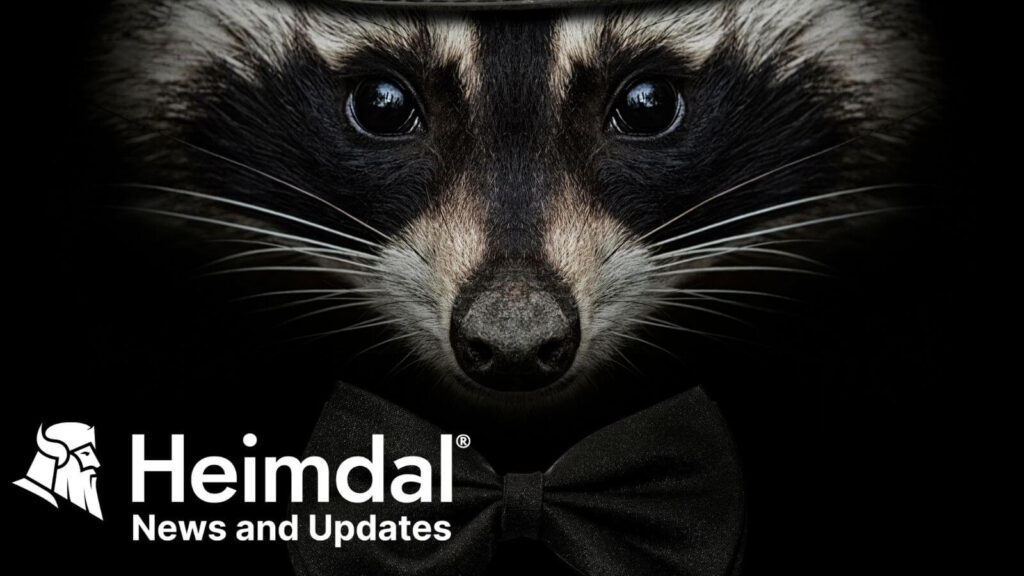 raccoon-stealer-230-malware-–-a-stealthier-comeback-–-source:-heimdalsecurity.com