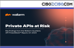 Private APIs at Risk