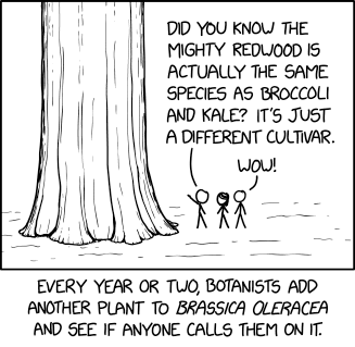 Randall Munroe’s XKCD ‘Brassica’ – Source: securityboulevard.com