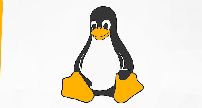 looney-tunables:-new-linux-flaw-enables-privilege-escalation-on-major-distributions-–-source:thehackernews.com