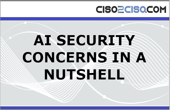 AI Security Concerns in a Nutshell