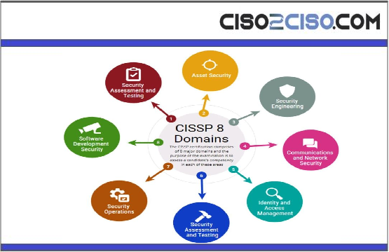 CISSPP 8 Domains