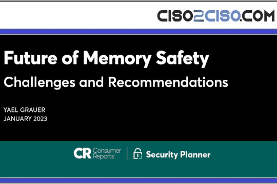 Future of Memory Safety