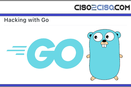 Hacking with Go