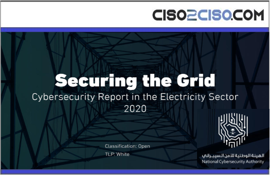 Security the Grid – Cybersecurity Report in the Electricity Sector 2020