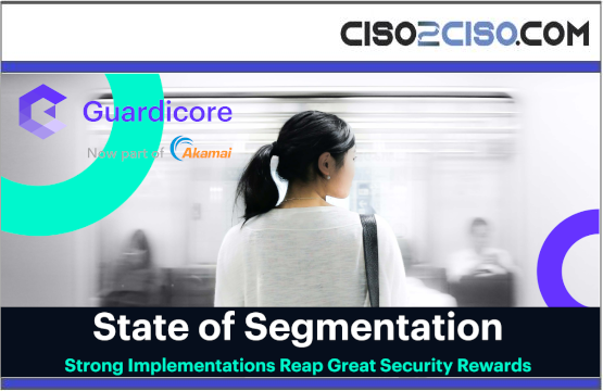 State of Segmentation Strong Implementations Reap Great Security Rewards