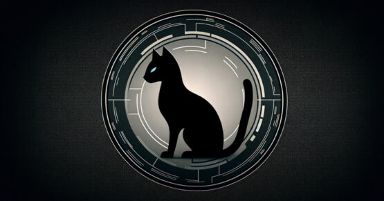FBI Takes Down BlackCat Ransomware, Releases Free Decryption Tool – Source:thehackernews.com