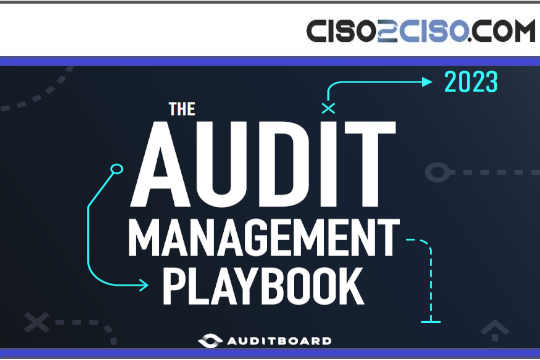 Audit Management Playbook