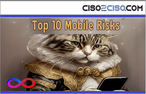 OWASP Top 10 Mobile Risks