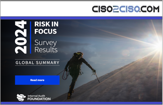 Risk in Focus 2024 Global Summary
