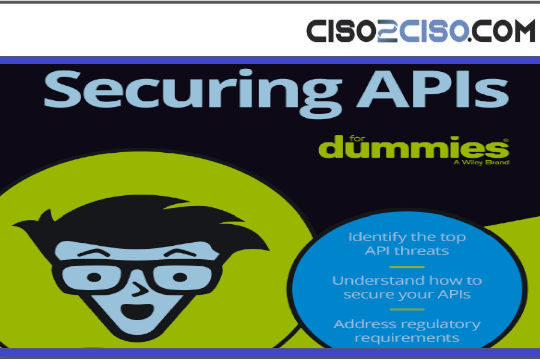Securing APIs for Dummies by Noname Security