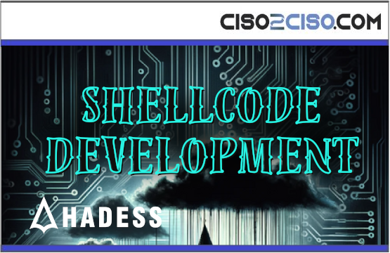 Shell code development
