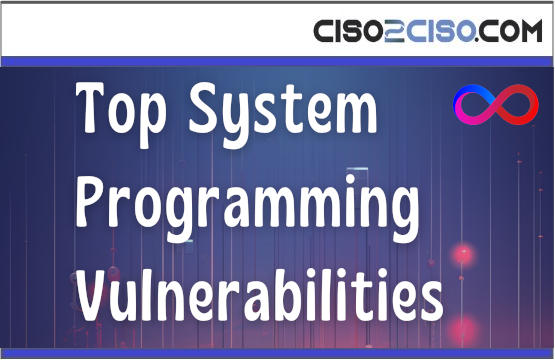 Top System Programming Vulnerabilities