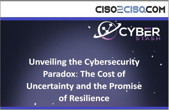 Unveiling the Cybersecurity Paradox