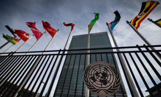 Civil Society Sounds Alarms on UN Cybercrime Treaty – Source: www.databreachtoday.com