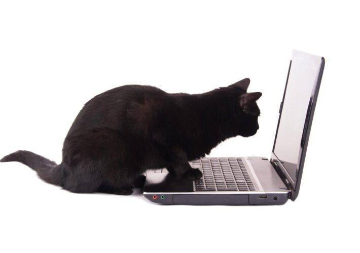 ‘commando-cat’-is-second-campaign-of-the-year-targeting-docker-–-source:-wwwdarkreading.com
