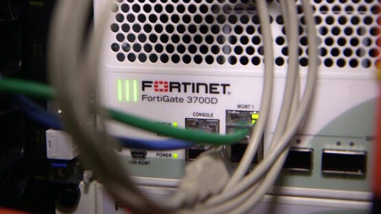 Fortinet’s week to forget: Critical vulns, disclosure screw-ups, and <em>that</em> toothbrush DDoS attack claim – Source: go.theregister.com