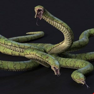 Water Hydra’s Zero-Day Attack Chain Targets Financial Traders – Source: www.infosecurity-magazine.com