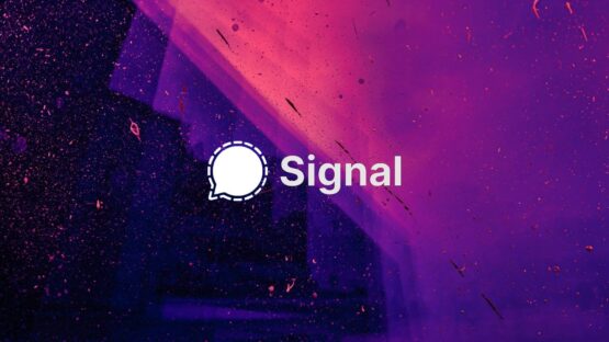 Signal rolls out usernames that let you hide your phone number – Source: www.bleepingcomputer.com