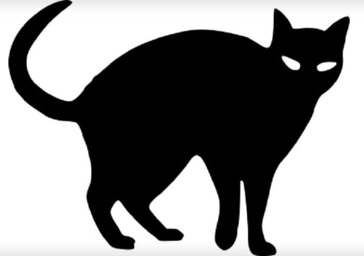 blackcat-pounces-on-health-sector-after-federal-takedown-–-source:-wwwdatabreachtoday.com