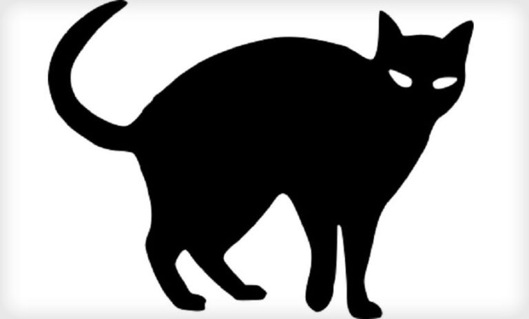 blackcat-pounces-on-health-sector-after-federal-takedown-–-source:-wwwdatabreachtoday.com