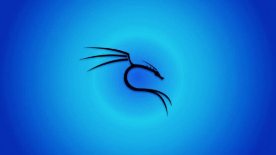 Kali Linux 2024.1 released with 4 new tools, UI refresh – Source: www.bleepingcomputer.com