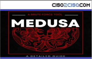 A Detailed Guide on Medusa