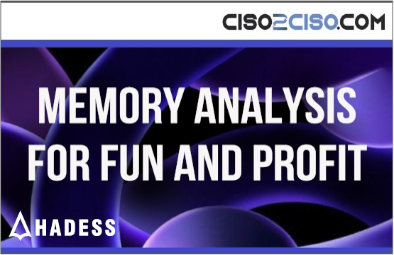 Memory analysis for fun and profit