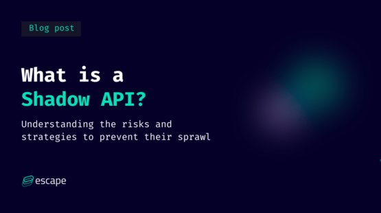 What is a Shadow API? Understanding the risks and strategies to prevent their sprawl – Source: securityboulevard.com