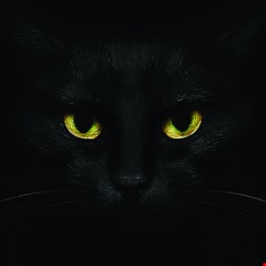alphv/blackcat-ransomware-servers-go-down-–-source:-wwwinfosecurity-magazine.com