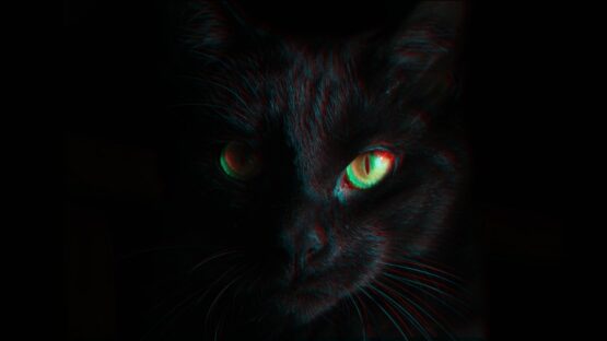 BlackCat ransomware shuts down in exit scam, blames the “feds” – Source: www.bleepingcomputer.com