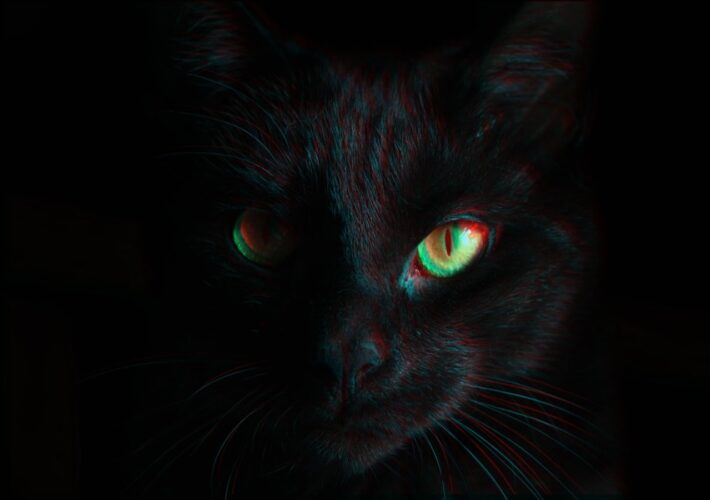 blackcat-ransomware-shuts-down-in-exit-scam,-blames-the-“feds”-–-source:-wwwbleepingcomputer.com