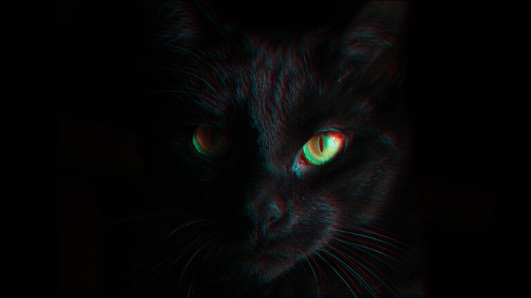 blackcat-ransomware-shuts-down-in-exit-scam,-blames-the-“feds”-–-source:-wwwbleepingcomputer.com