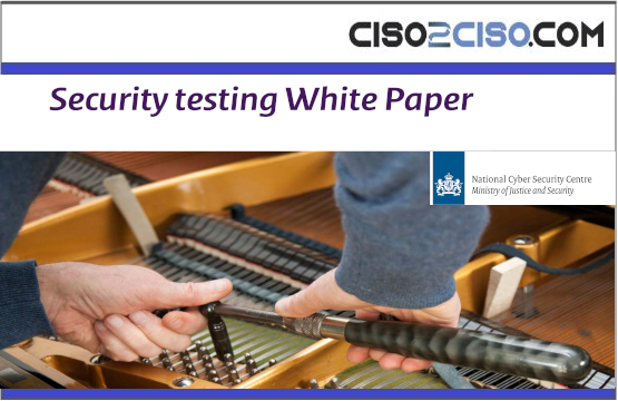 Security testing White Paper