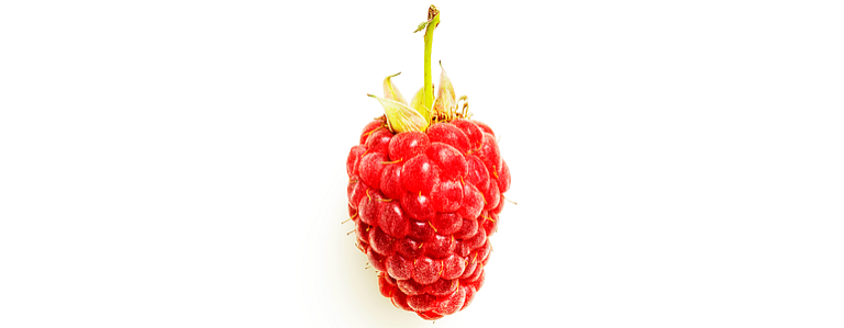 biden-review-board-gives-microsoft-a-big,-fat-raspberry-–-source:-securityboulevard.com