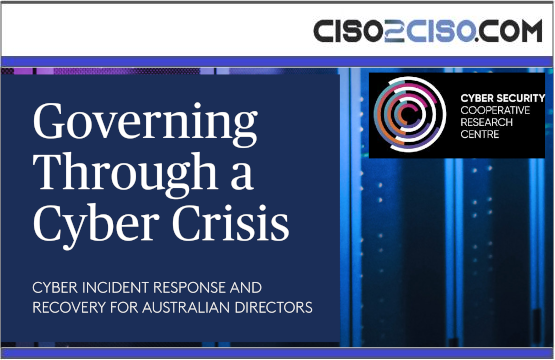 Governing Through a Cyber Crisis
