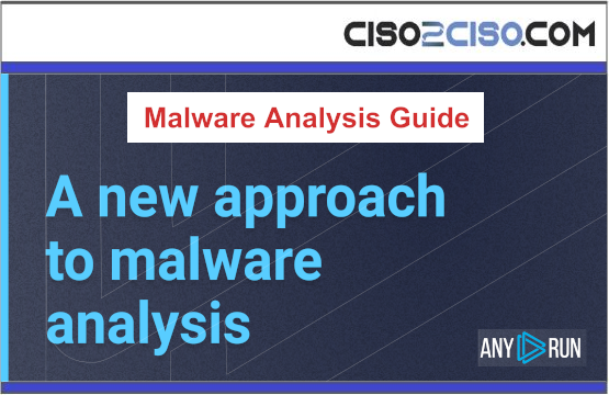 Malware Analysis Guide