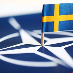 Hackers Target New NATO Member Sweden with Surge of DDoS Attacks – Source: www.infosecurity-magazine.com