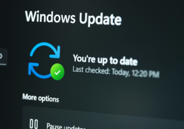 Patch Tuesday, May 2024 Edition – Source: krebsonsecurity.com