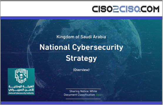 National Cybersecurity Strategy