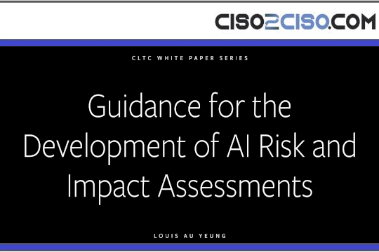 Guidance for the Development of AI Risk and Impact Assessments