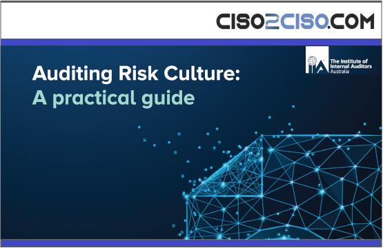 Auditing Risk Culture