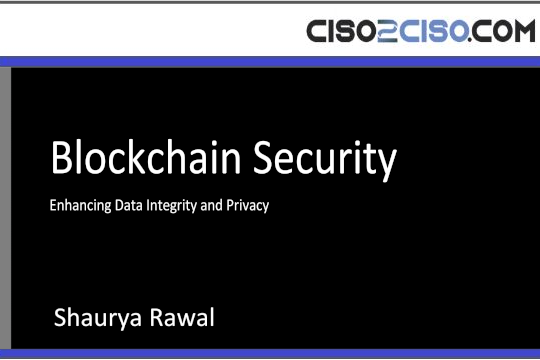 Blockchain Security